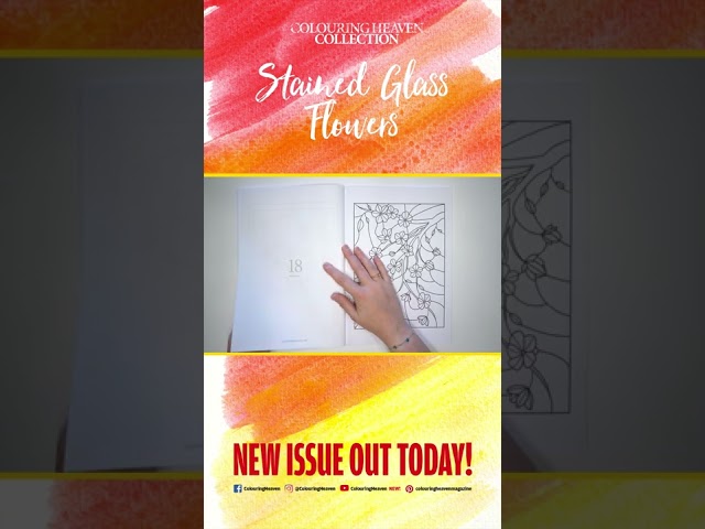 Vídeo relacionado con Scrapbook Paper - 20 Front and Back Premium Color Pages: Stained Glass Bridge - Rainbow Colors with Magical Light Shining Through the Window - 8.5"x8.5"