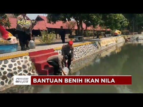 PRESISI UPDATE : BANTUAN BENIH IKAN NILA 26/07/2024 18.00