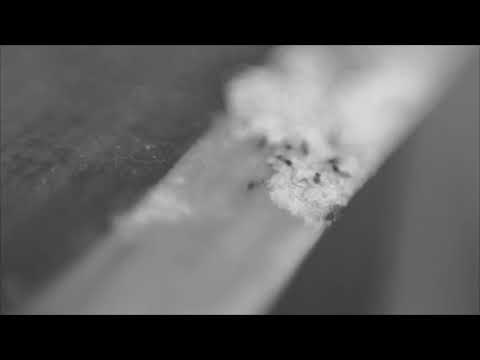 Hobart Current: Liberty 2021 -  Suryo Herlambang - artist vlog 2