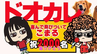 興奮して飛付いて困っちゃう！なんとかして！に　本物のドッグビヘイビアリストが回答。コメントにあったことにも答えちゃう
