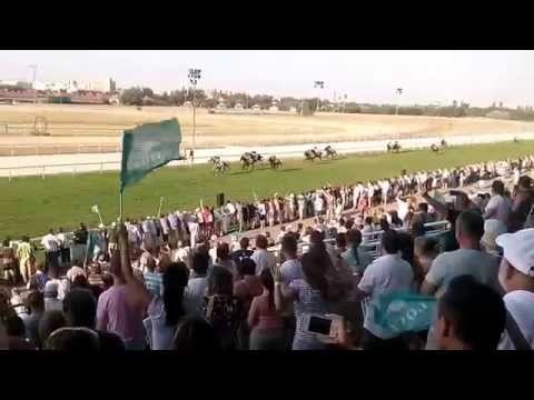 93. Magyar Derby befutó