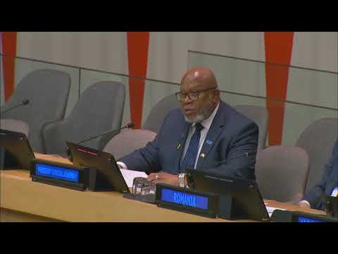 Andrew Solomon Speaks at the United Nations on Youth Mental Health