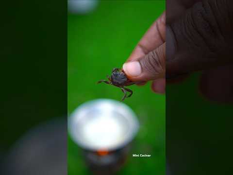 Smallest Crab Recipe 🦀🍳#shorts #shortsvideo #youtubeshorts #minicocinar