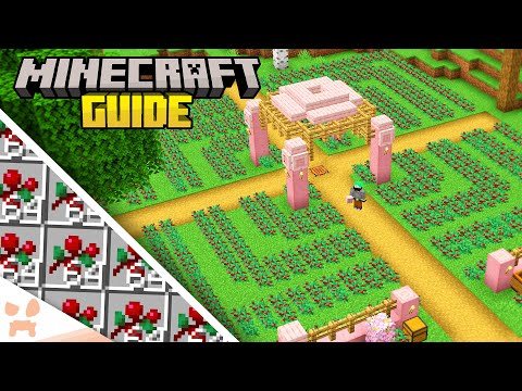 wattles - The BEST Starter Food Farm! - Minecraft 1.20 Guide (Survival Lets Play #4)