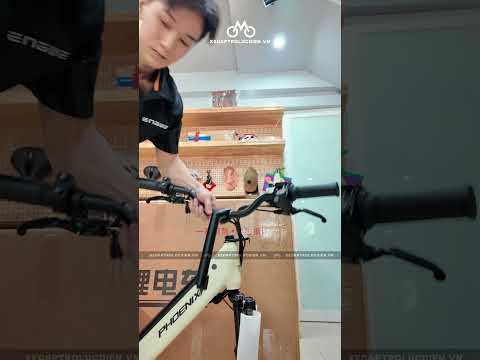 Xe đạp trợ lực điện Phoenix D2 phù hợp với học sinh cấp 2-3 | XEDAPTROLUCDIEN.VN