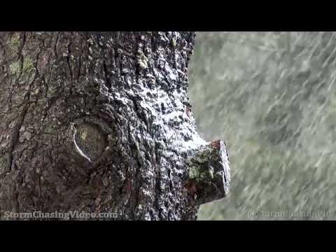 Late Season Snow Falls On  Barron County, WI - 4/6/2022