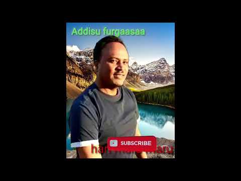 Addisu furgaassaa"hari maruu maruu