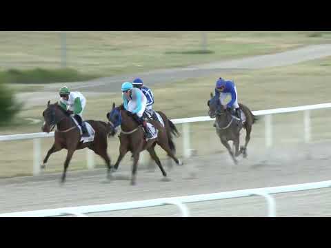 2022.06.26. 03. futam - OROSHÁZI DÍJ (II.kat.) (szintetikus pálya)