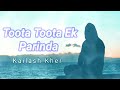 Toota Toota Ek Parinda Kailash Kher Lo Fi Remix Sad Song Official Audio Song Music Sadsong