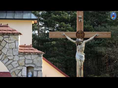 Pustelnia 26.04.2020 - Koronka