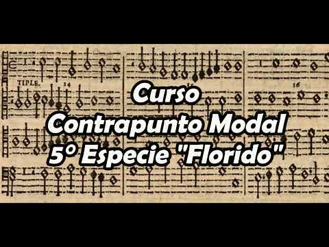 Strict modal counterpoint #5 species "Florid"