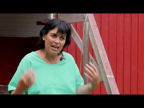 Wendland.Elbe - Wohnen auf dem Lande: Generationen auf einem Hof