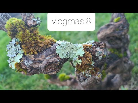 Yarnflakes Vlogmas 2021 - episode 8