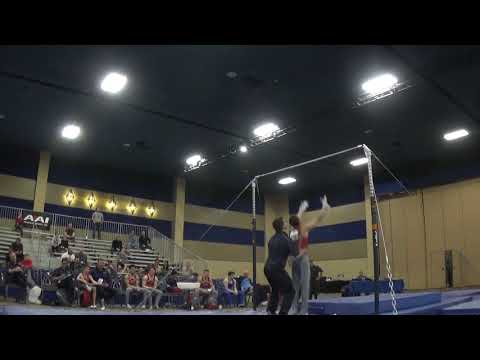 Travis Wong - High Bar - 2020 Winter Cup Jr. Prelims and Elite Team Cup