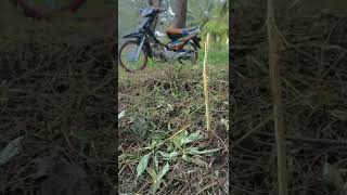 Download lagu cuma supra!! bantu subscribe dong mp3 Download lagu cuma supra!! bantu subscribe dong mp3