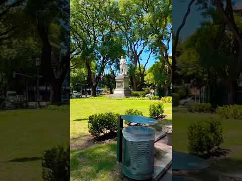 Es una delicia poder pasear por la plaza Mitre de #avellaneda #walking #shorts #buenosaires #travel