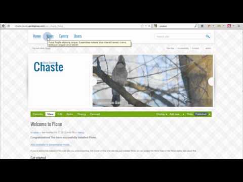 Chaste Responsive  Plone Theme