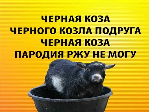 Черная коза