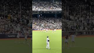 【CT AMAZE】日本VS台湾@台北大巨蛋20241116 #台湾チア #cheerdance #cheerleading #amaze #啦啦隊 #premier12 #teamtaiwan