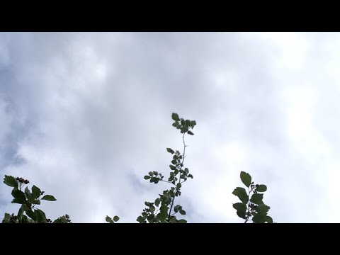 Vois Laulaa Finaali: Katja Koo