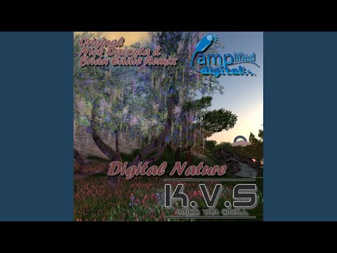 Digital Nature (Original Mix)