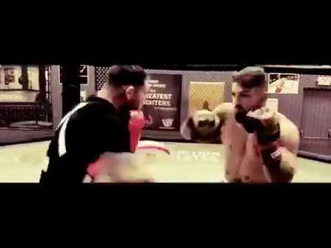 Fan Favorite - Platinum Mike Perry 🇺🇸