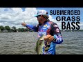 Fishing Submerged Vegetation Pro Fishing Tips