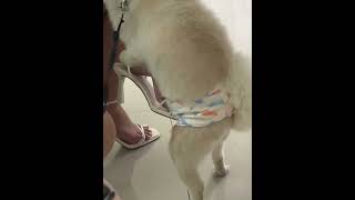 Download lagu Grabe anak ni yumi nangangatkot 🫣 mp3