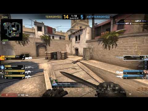 Ace Zbigniewa Stonogi