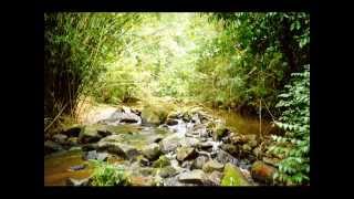 Proteção a Arranca Toco - Cantiga de Valéria Barbosa.wmv