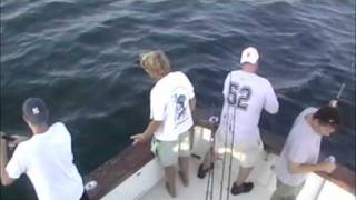 preview picture of video 'Purple Jet Fishing Charter New Jersey Bonito Action Aug 2009'