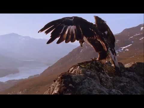 John Askew - Beirut (Original Mix) (chillout video)