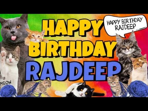 Happy Birthday Rajdeep! Crazy Cats Say Happy Birthday Rajdeep (Very Funny)
