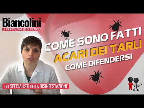 Specie di vermi per la persona Vermi a sintomi di cuccioli e trattamento