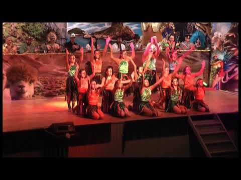 2020 - Karneval in Rio