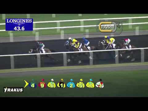 27.02.2014 Meydan (Dubai-UAE) 4.Race UAE Oaks 2014 - Group III 1.900 m