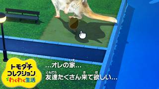 トモダチコレクションわくわく生活 ～きまぐれ適当島の住人観察動画～３