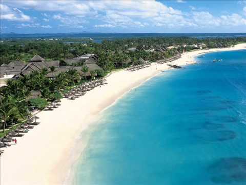 petit copain - grup latanier