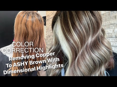 COLOR CORRECTION | Copper To ASHY BROWN With...