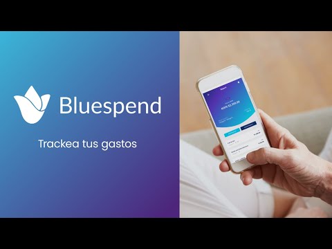 Bluespend - Control de Gastos