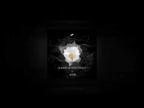 Avicii Vs Chord Overstreet - Without You Vs Hold On (Lee Barzola Mashup)