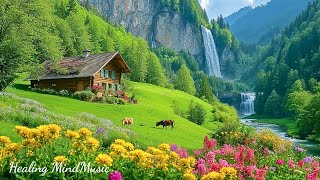 Beautiful Relaxing Music 🌿Gentle Nature Sounds for Deep Sleep & Mind Healing & Stress Relief