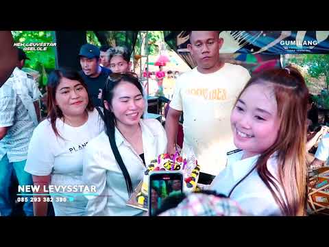 NEW LEVYSSTAR KARAOKE - DSELAMAT ULTAH - BIRTHDAY PARTY SANDRA N FRIEND