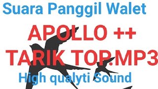 Download lagu KWALITAS TERBAIK SP APPOLO TARIK TOP MP3... mp3