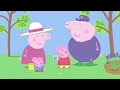 Peppa Pig Episodes In 4K BEST Moment From Season 6 1 HOUR Cartoons For Children
