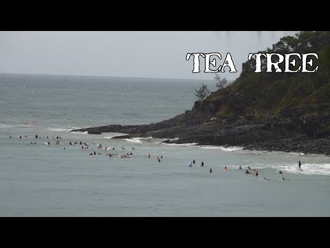 Longboarding Tea Tree (Noosa)