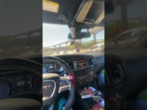 mopar love 🖤#dodgechargersrt #392 #dodge #mopar #moparornocar #intraffic #automobile #cuttingup