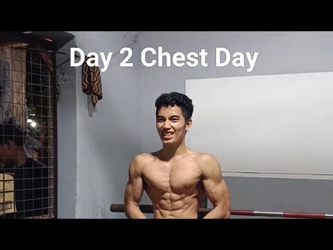 Winter Bulk Day 2(Chest and Triceps)