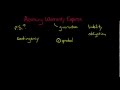 Accounting For Warranty Expense