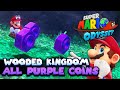 All 100 Purple Coins In Wooded Kingdom Guide Super Mario Odyssey